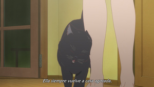 Kanojo to Kanojo no Neko: Everything Flows